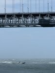 IMG_4944