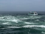IMG_5091