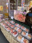 IMG_5546