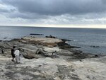 IMG_5575