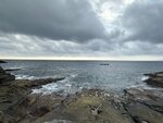 IMG_5594
