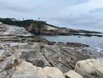 IMG_5595