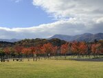 IMG_0855