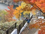 IMG_E0987