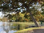 IMG_1240