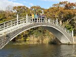IMG_1257
