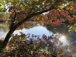 IMG_1279