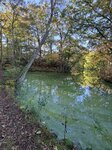 IMG_1286