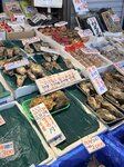 IMG_1927