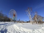 IMG_4587
