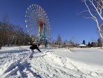 IMG_4592