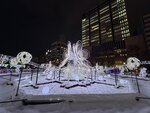 IMG_4435