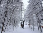 IMG_2657