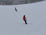 IMG_6962