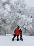 IMG_6977