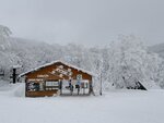 IMG_7429
