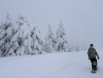 IMG_2746