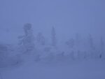 IMG_7005