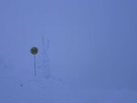 IMG_7009