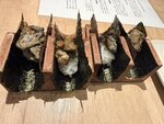IMG_E6797