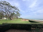IMG_8898