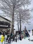 IMG_9459