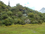 DSCN1943
