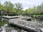 IMG_1702