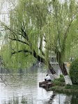 IMG_1703