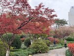 IMG_1704