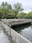IMG_1705