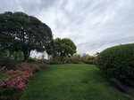 IMG_1708