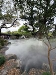 IMG_1713