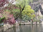 IMG_1233