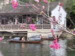 IMG_1234