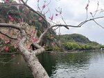 IMG_1242