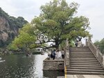 IMG_1262