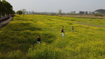 DJI_0430