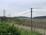 IMG_3153
