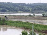 IMG_3166