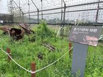 IMG_E3148