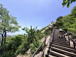 IMG_5190