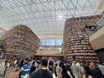 IMG_3593