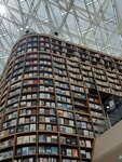IMG_3594