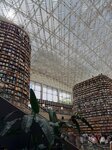 IMG_3601