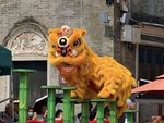 IMG_3853