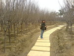 DSC00477