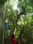 20080727_040