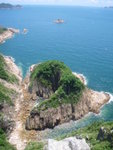 金魚擺尾