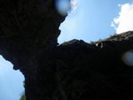 IMGP0701